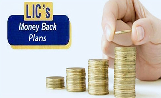 LIC Money Back Plan